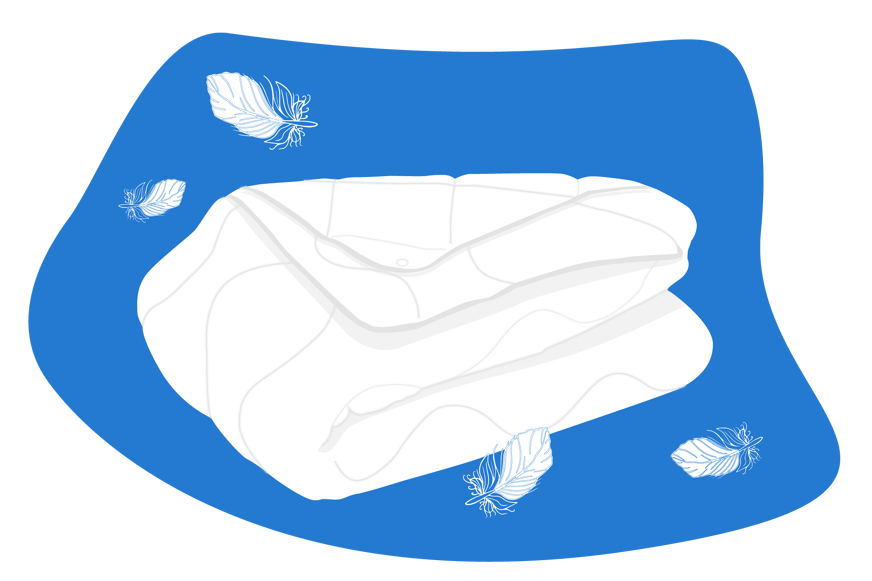 laver couette plumes